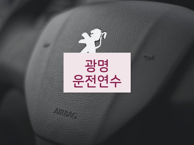 광명운전연수 후기
