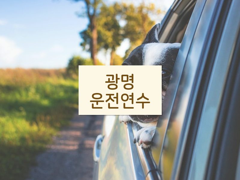 광명운전연수 후기