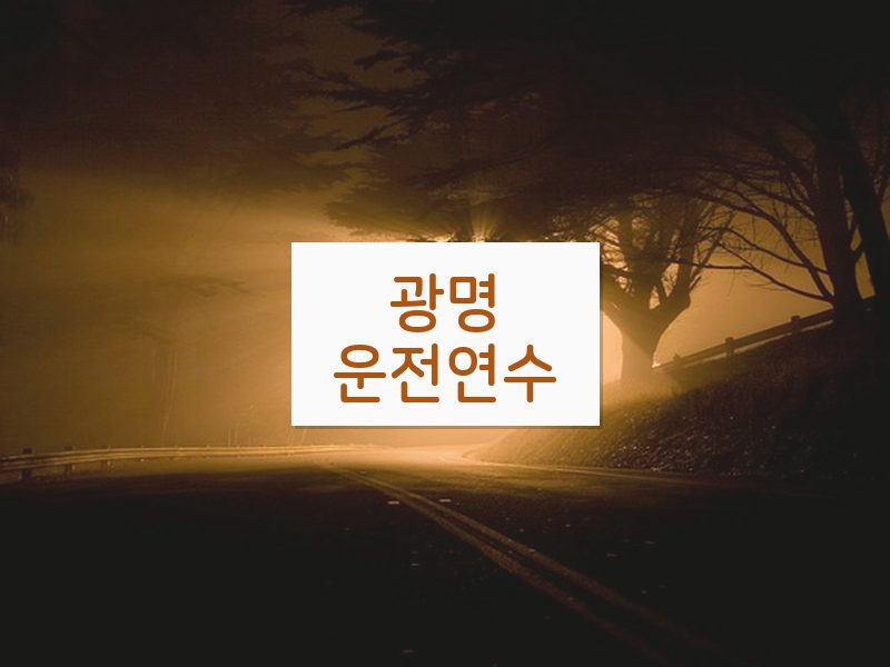 광명운전연수 후기