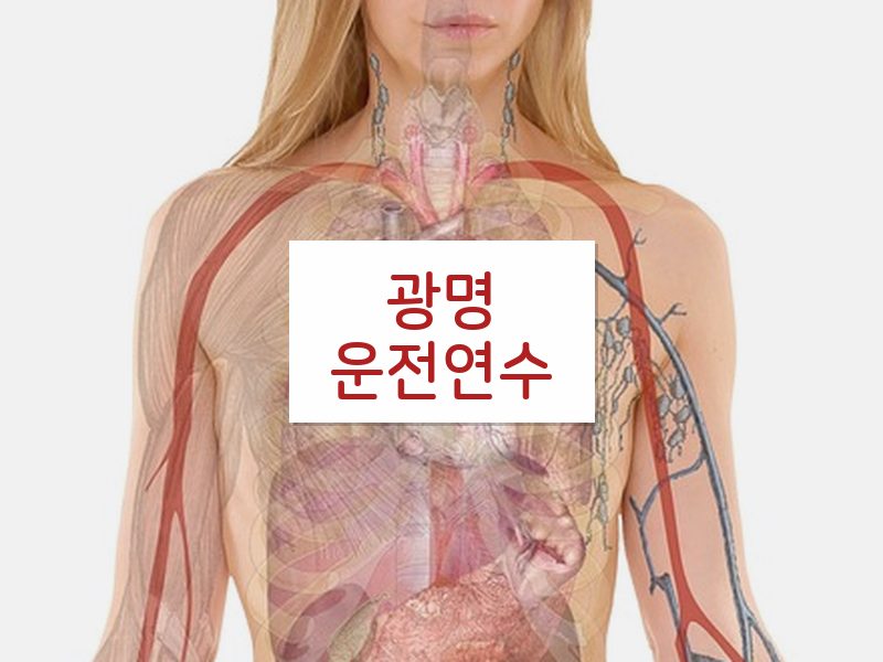 광명운전연수 후기