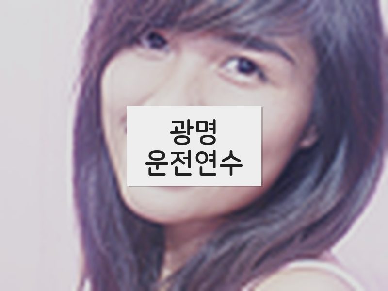 광명운전연수 후기