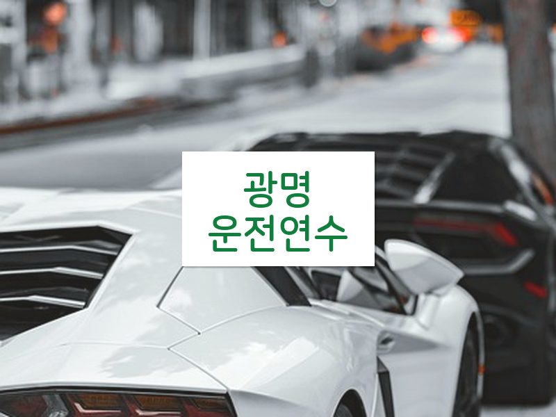 광명운전연수 후기