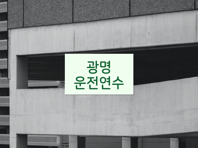 광명운전연수 후기