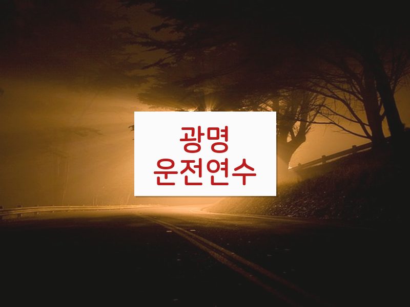 광명운전연수 후기