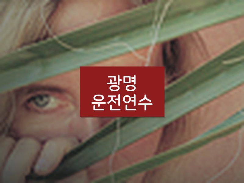 광명운전연수 후기