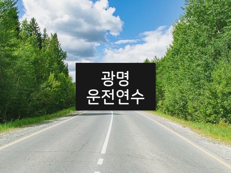 광명운전연수 후기