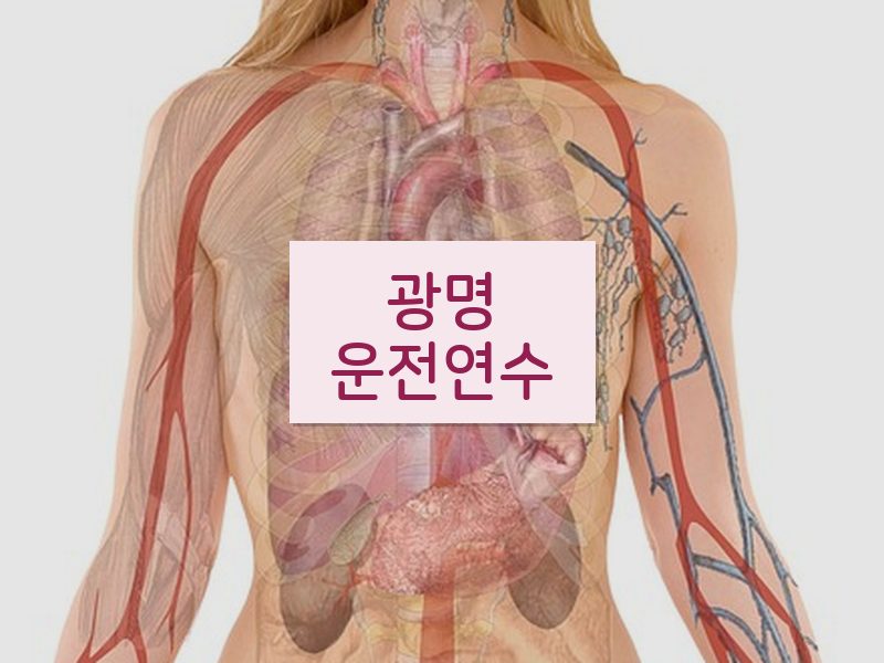 광명운전연수 후기