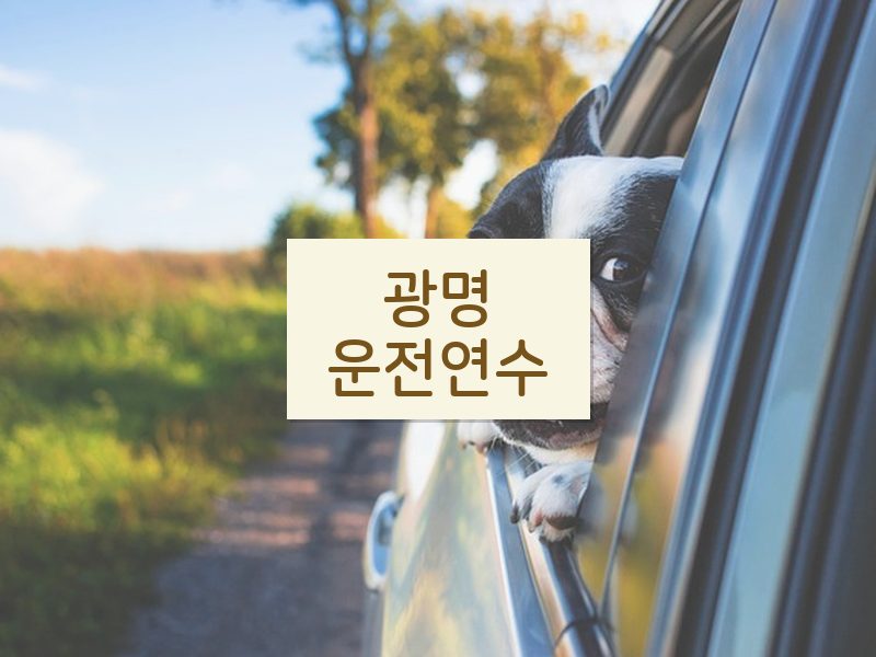 광명운전연수 후기