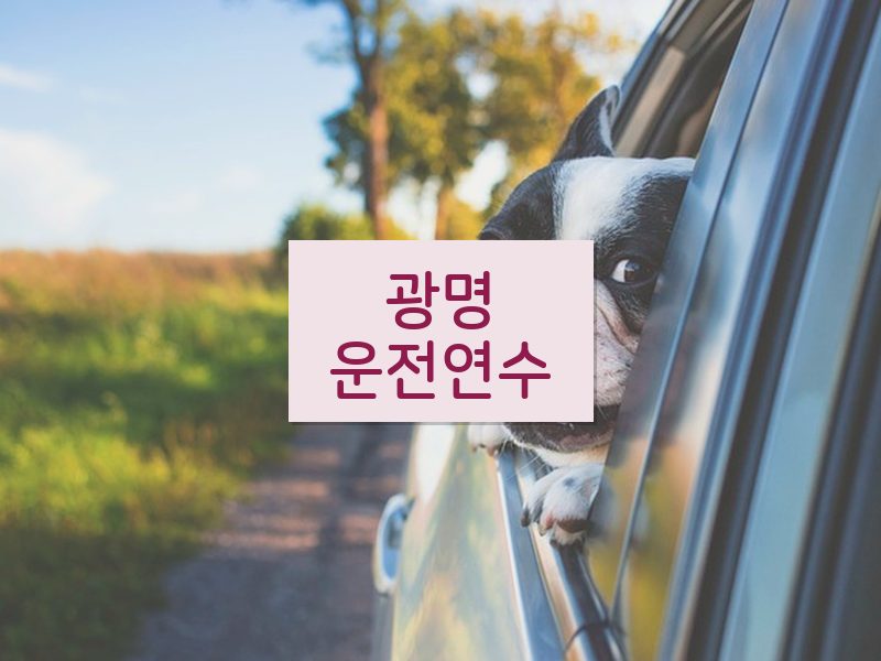 광명운전연수 후기