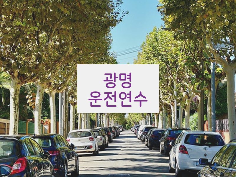 광명운전연수 후기
