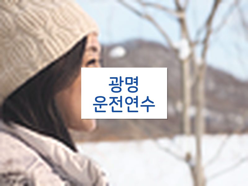광명운전연수 후기