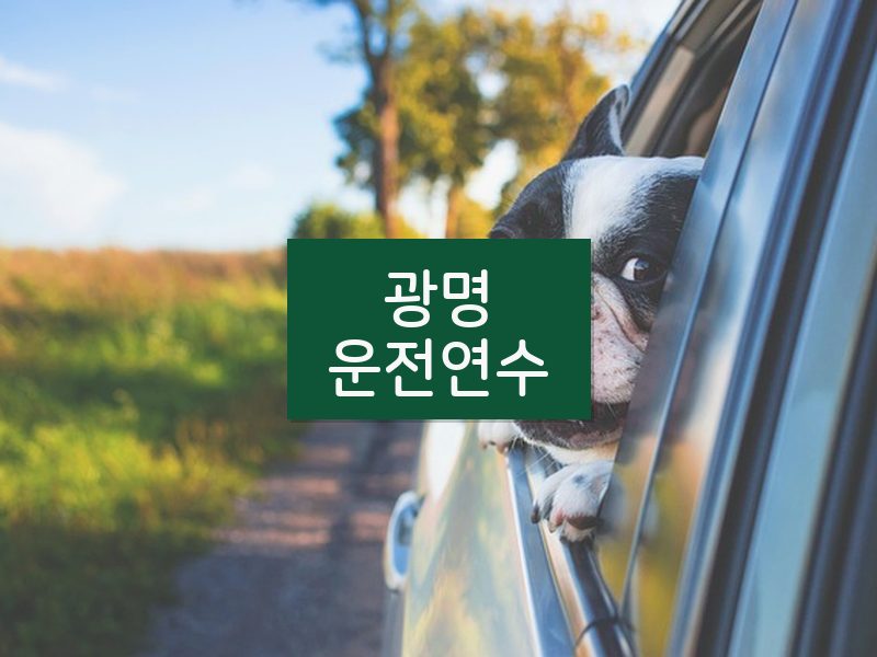 광명운전연수 후기