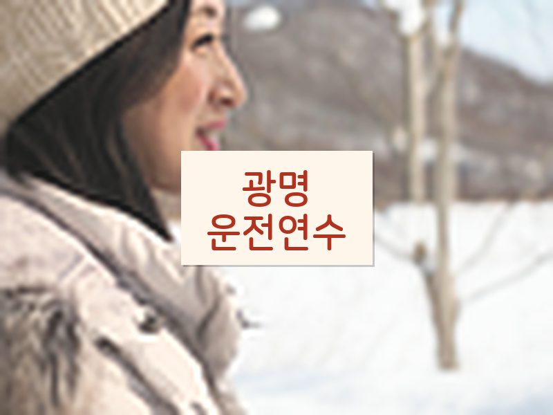 광명운전연수 후기