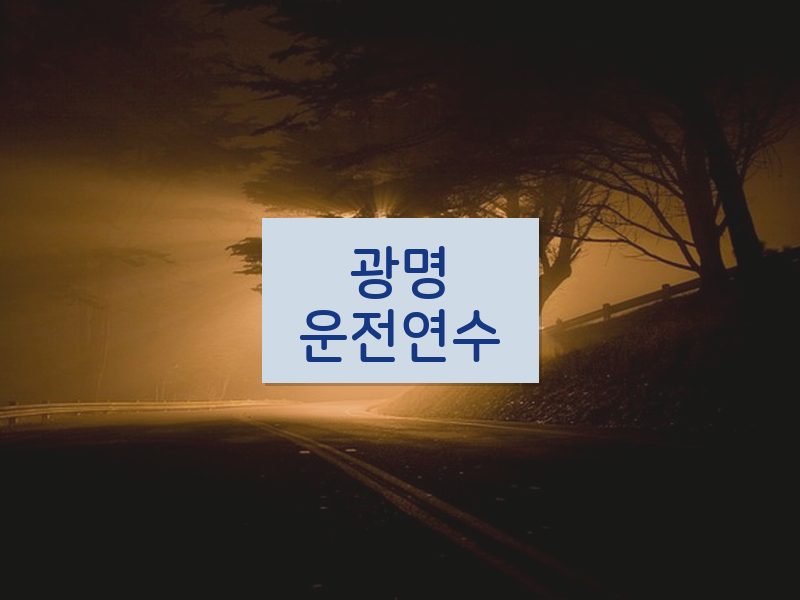 광명운전연수 후기