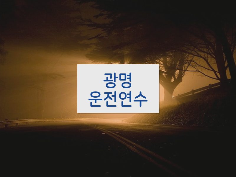 광명운전연수 후기