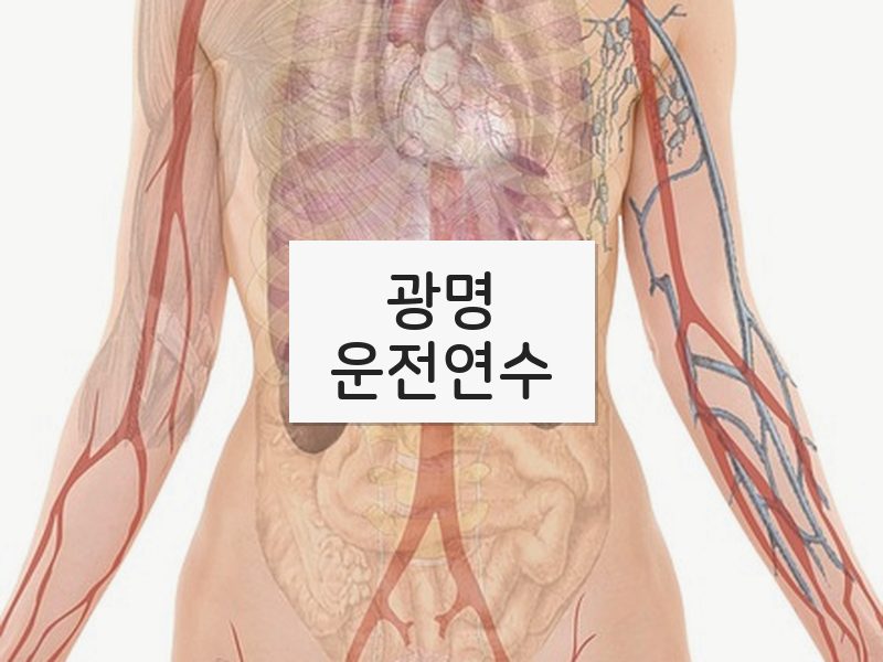 광명운전연수 후기