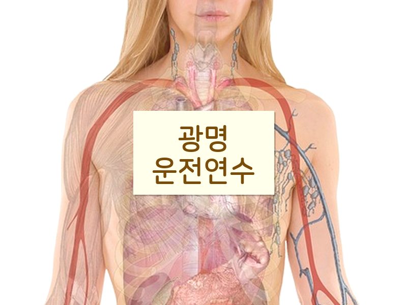 광명운전연수 후기