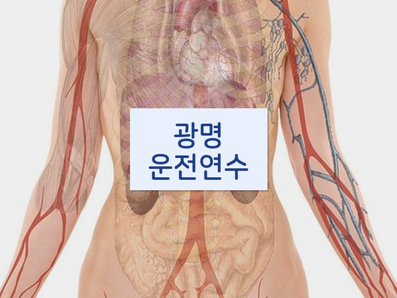 광명운전연수 후기