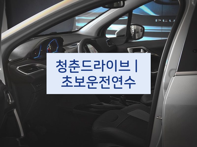 청춘드라이브 | 초보운전연수 후기