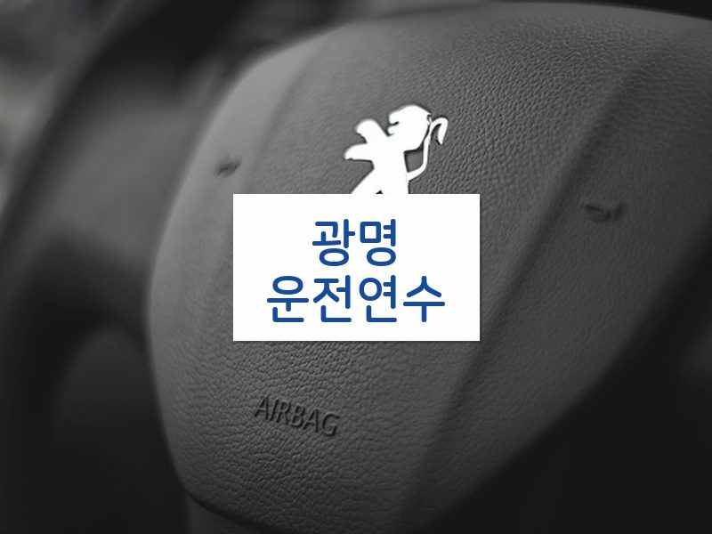 광명운전연수 후기