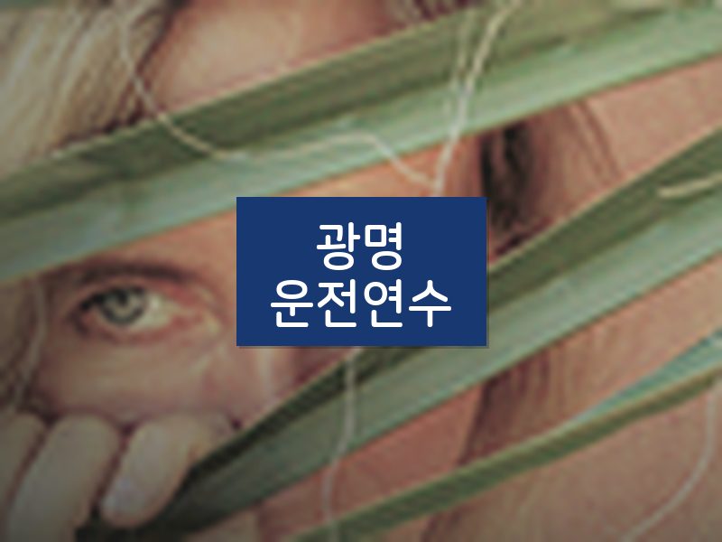 광명운전연수 후기