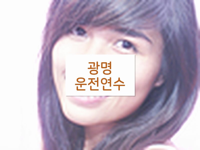 광명운전연수 후기