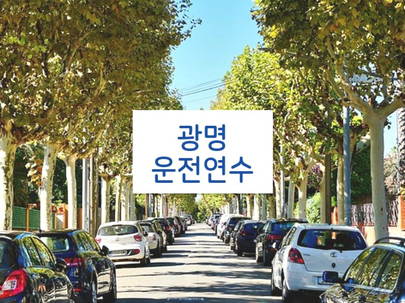 광명운전연수 후기