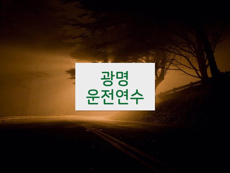 광명운전연수 후기