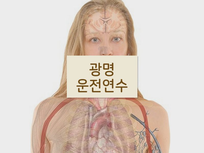 광명운전연수 후기