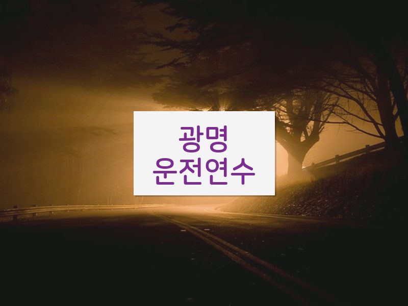 광명운전연수 후기