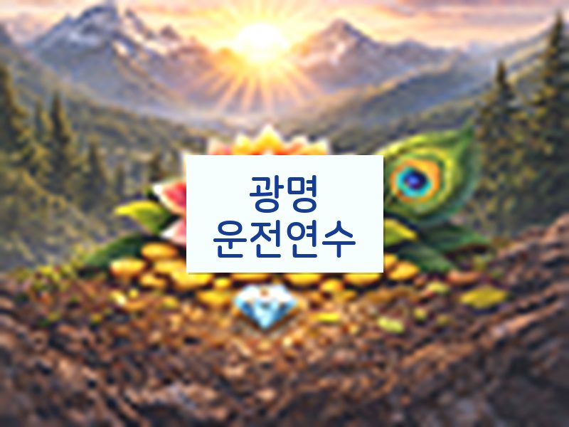 광명운전연수 후기