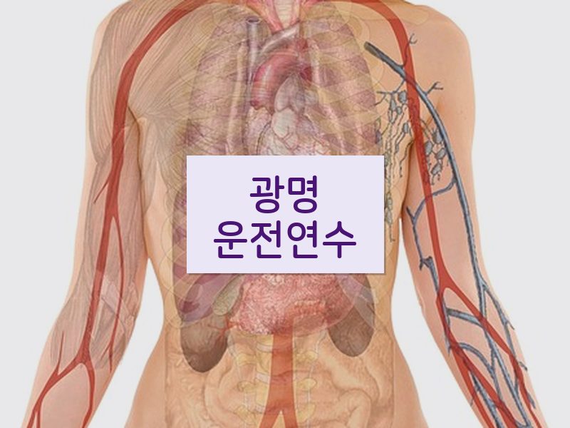 광명운전연수 후기