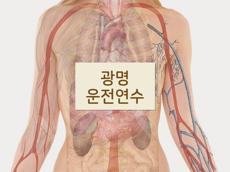 광명운전연수 후기