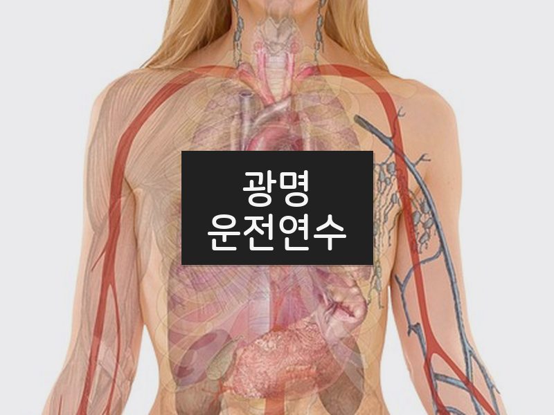 광명운전연수 후기