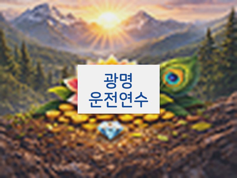 광명운전연수 후기
