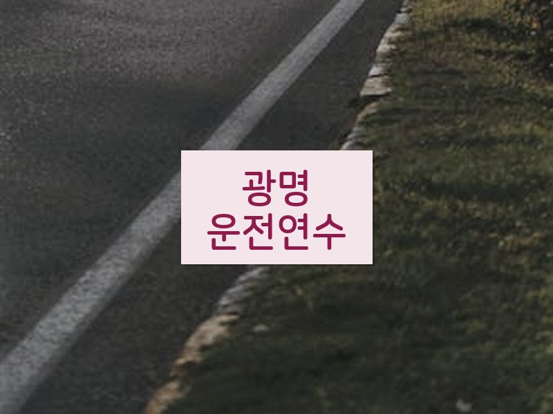 광명운전연수 후기