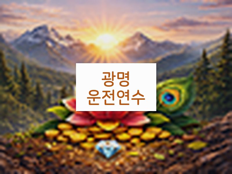 광명운전연수 후기