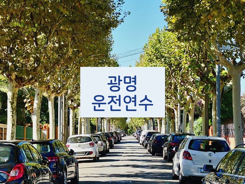 광명운전연수 후기