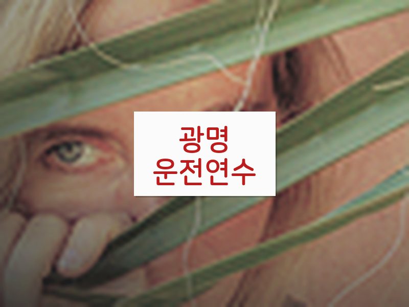 광명운전연수 후기