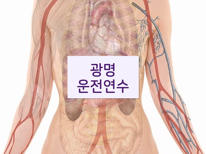 광명운전연수 후기