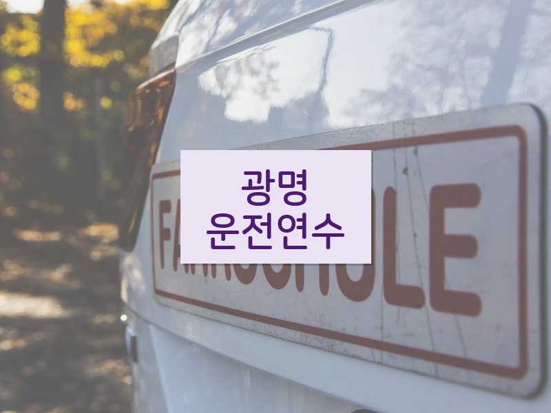 광명운전연수 후기