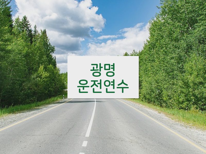 광명운전연수 후기