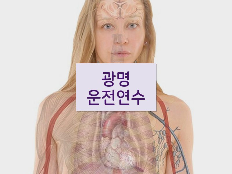 광명운전연수 후기