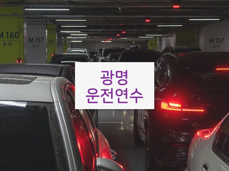 광명운전연수 후기