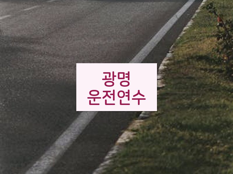 광명운전연수 후기