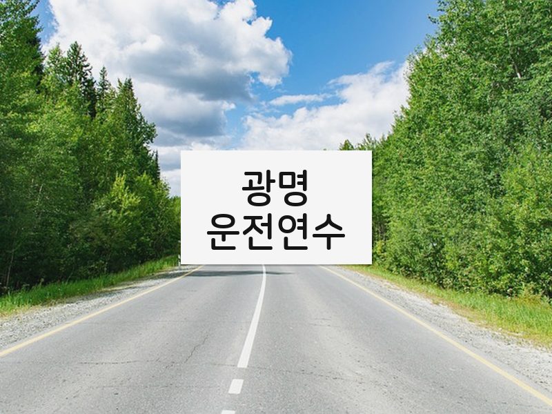 광명운전연수 후기