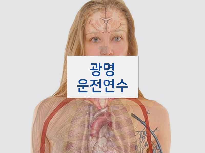 광명운전연수 후기