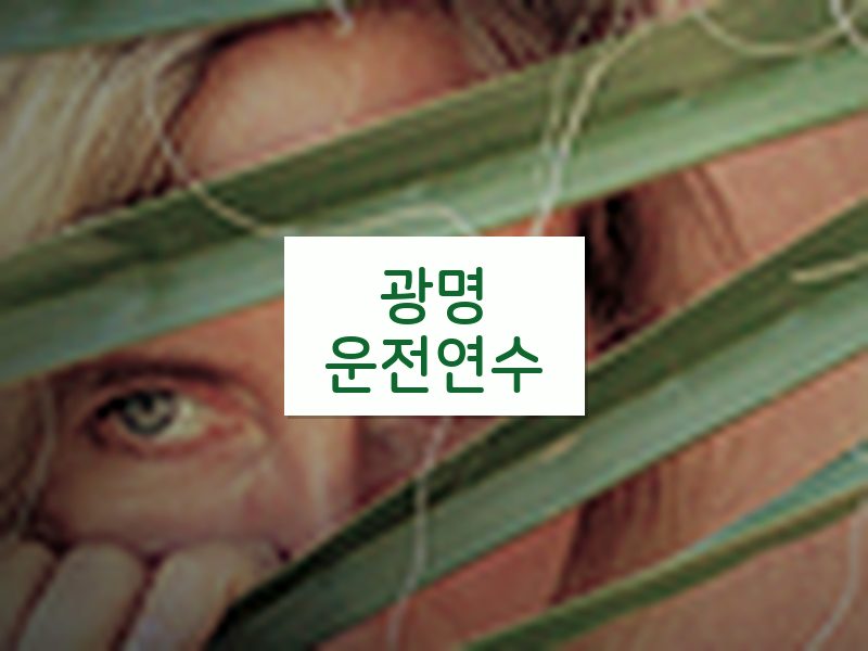광명운전연수 후기