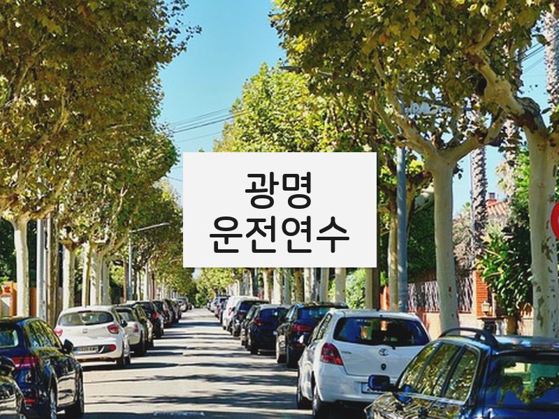 광명운전연수 후기