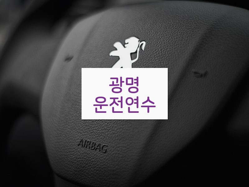 광명운전연수 후기